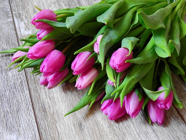 flower-2111551_kopiya.jpg